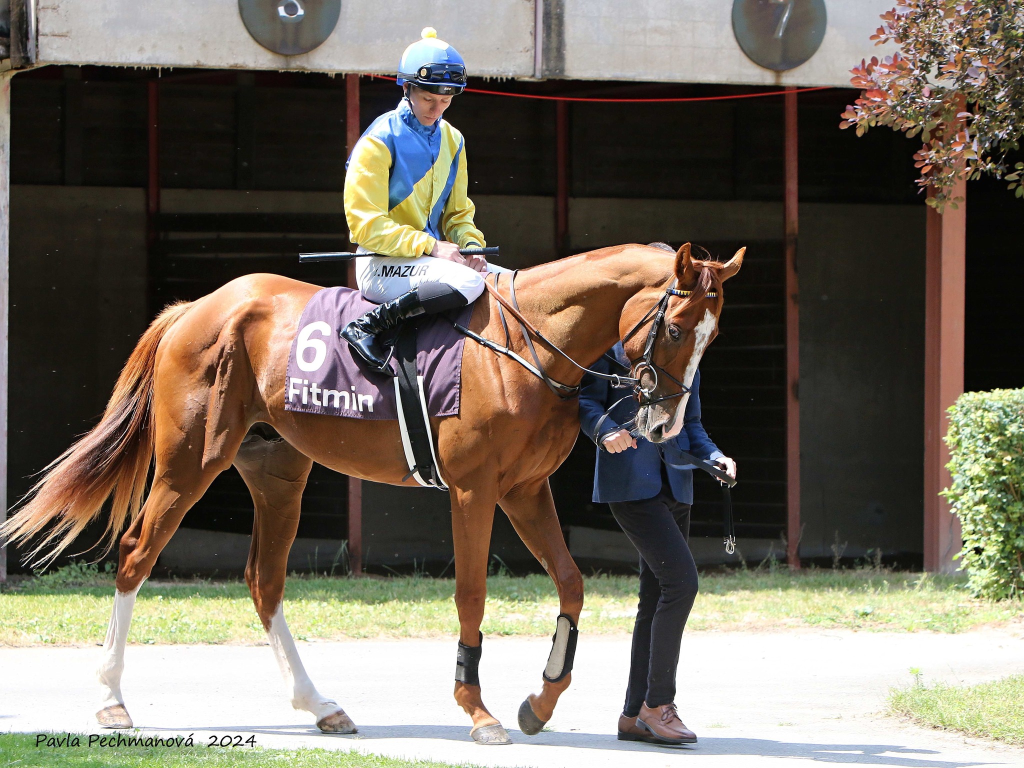 ČESKÉ DERBY a další prestižní dostihy - 22. 6. 2025