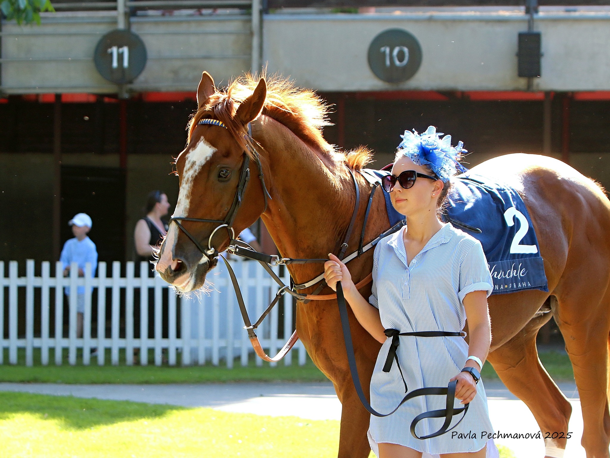 BUCKINGHAM se představí v Praze v sobotu 12. 7. 2025