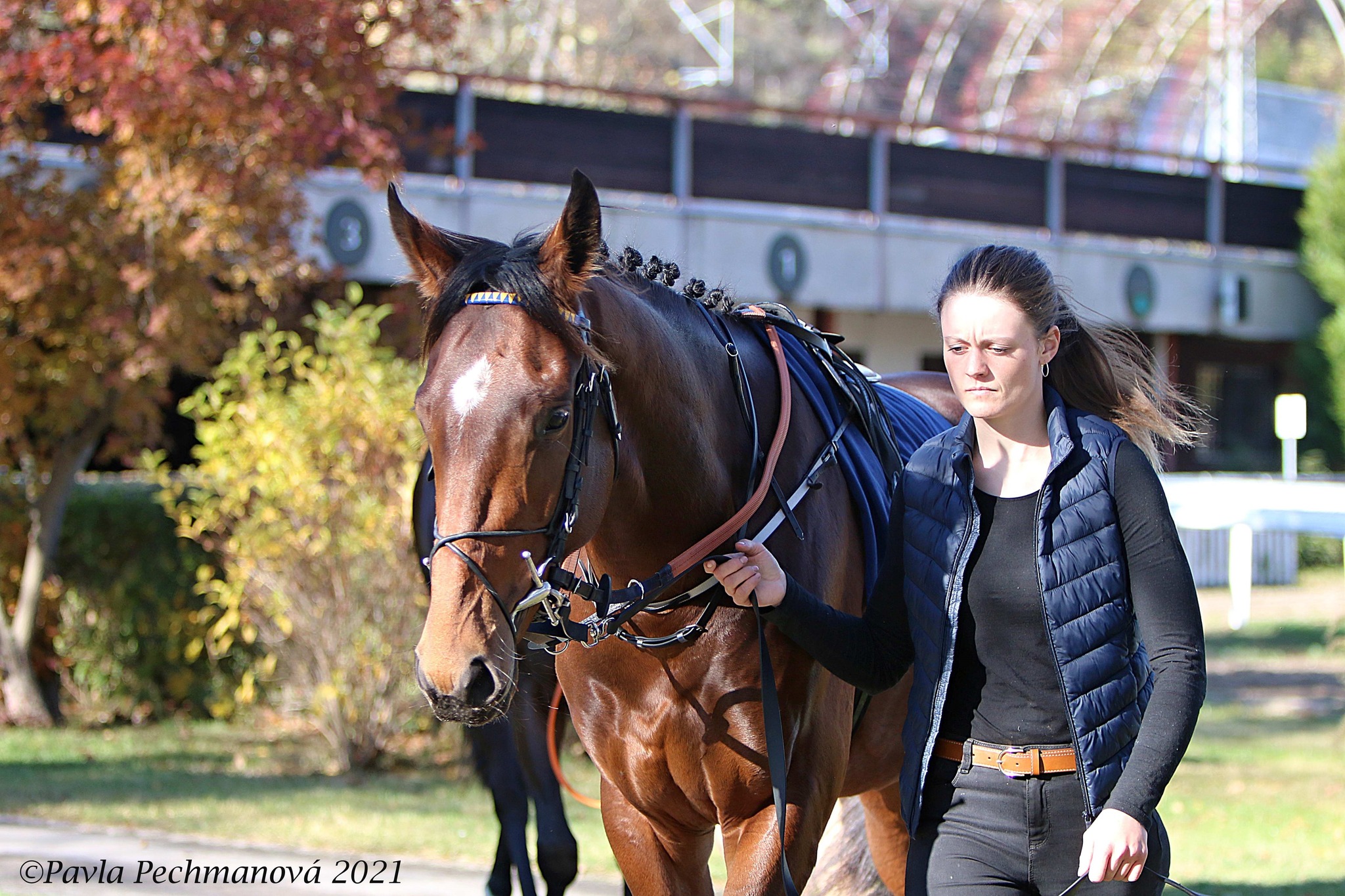 CHITTUSSI doběhl v Meranu druhý