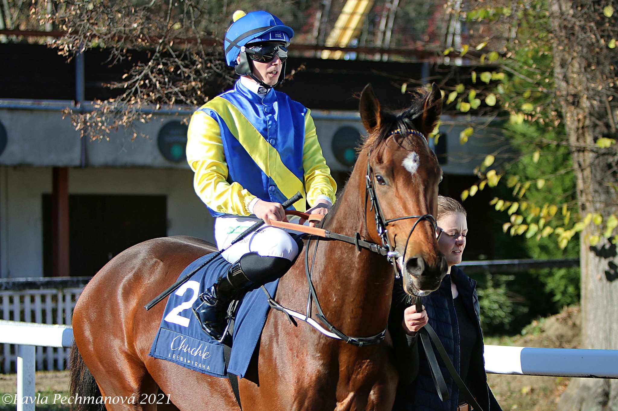 Šestice modrožlutých se představí při sobotním mítinku v Pardubicích