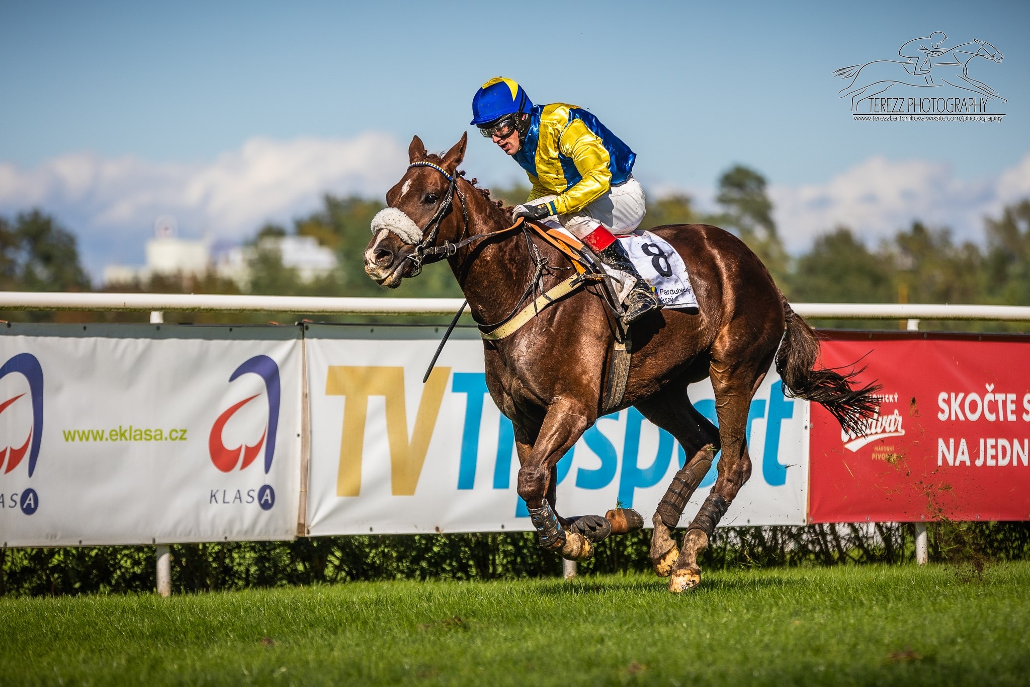 Do Pardubic míří o víkendu deset zástupců modrožlutých!