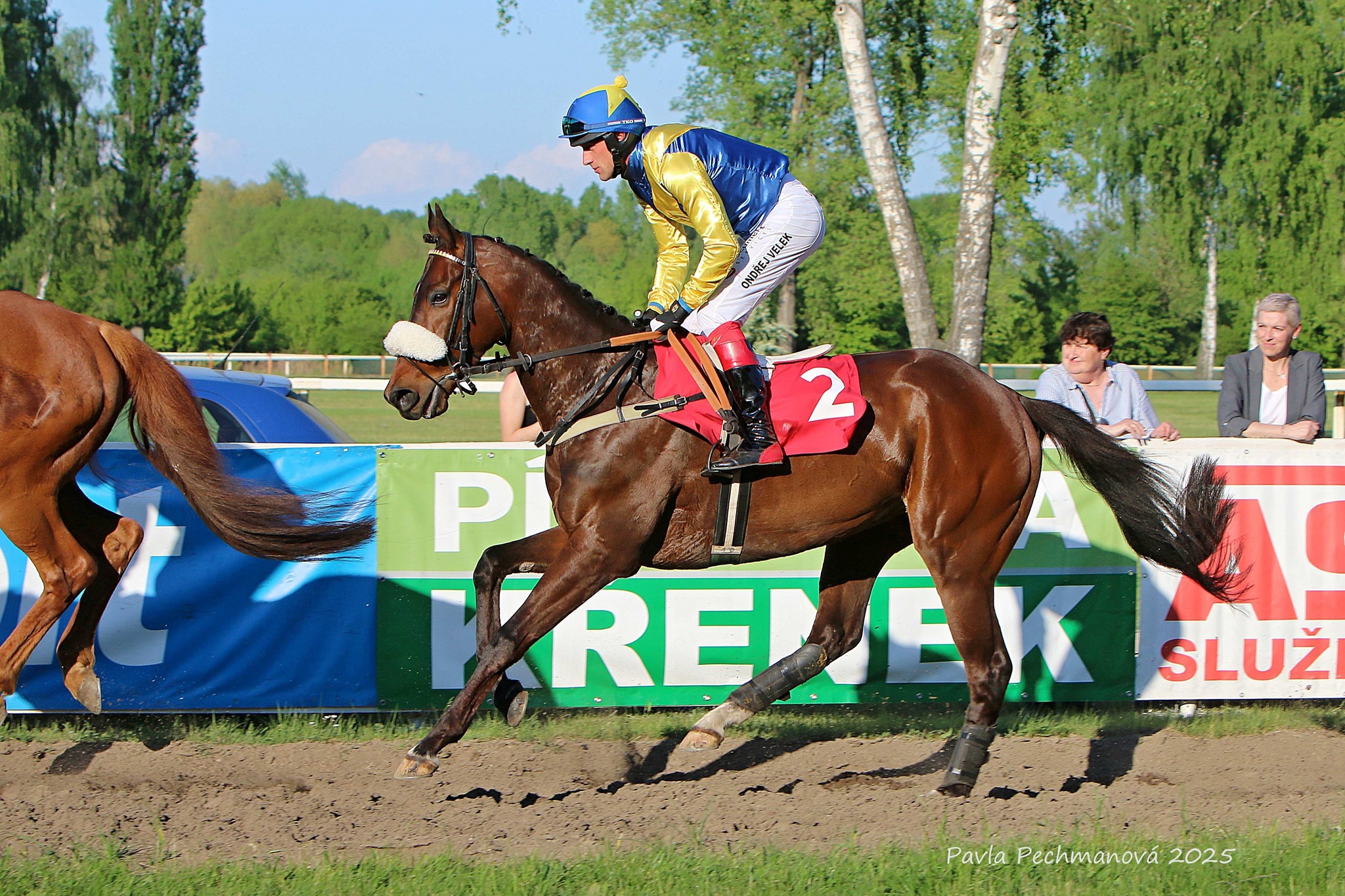 Do Slušovic míří 4 zástupci z naší stáje