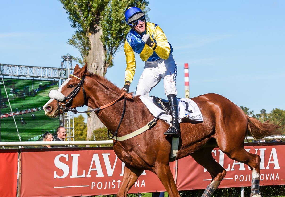 Vítězný GATSBY a Jan Faltejsek v sobotu 3. 9. 2022 Pardubice