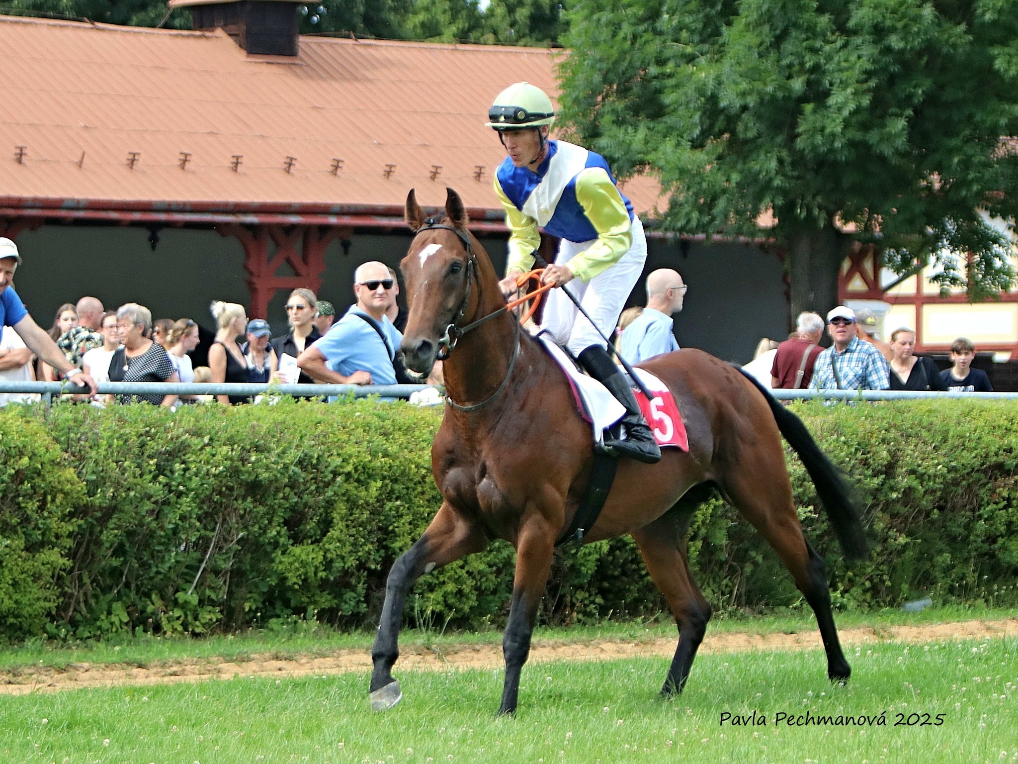 Víkendové výsledky ze Slovenska a z Prahy
