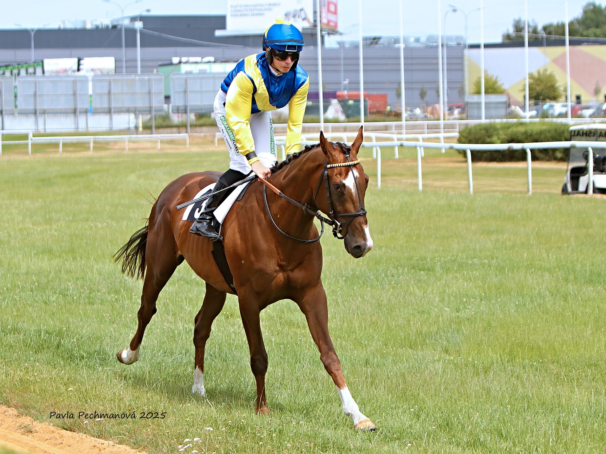 V Karlových Varech se o víkendu dařilo