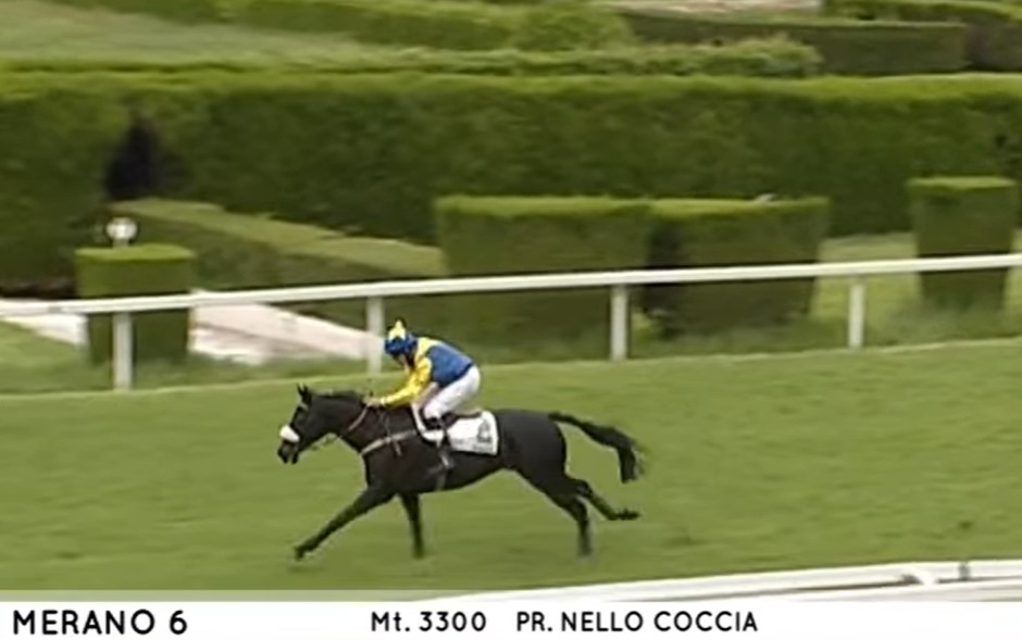 V Meranu NIGHT PRETENDER vybojoval první místo