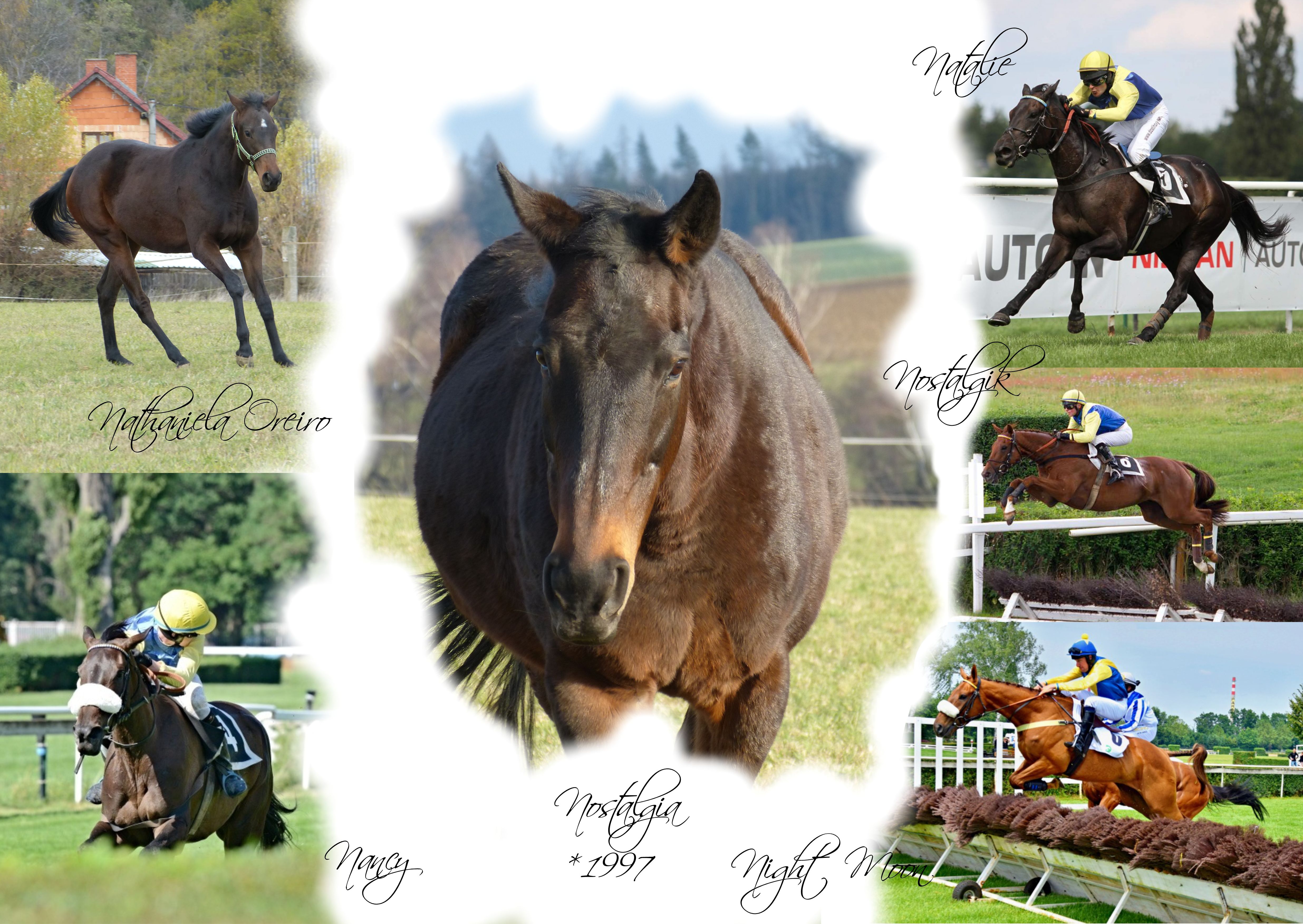 Sbohem, Nostalgie…