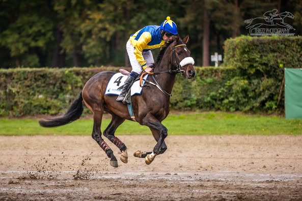 Krátké zhodnocení sobotních Pardubic