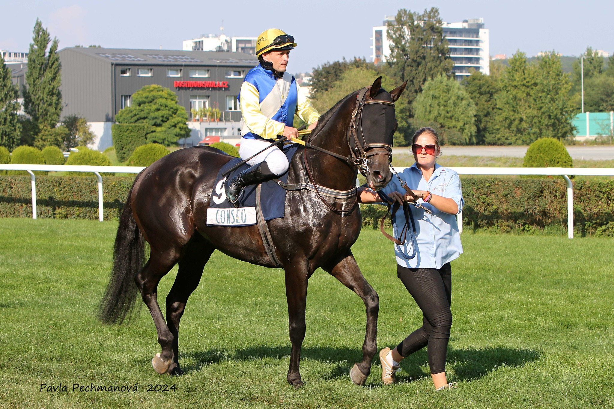 CORSAIR  čtvrtý v 79. CONSEQ ST LEGER v Chuchle Areně Praha