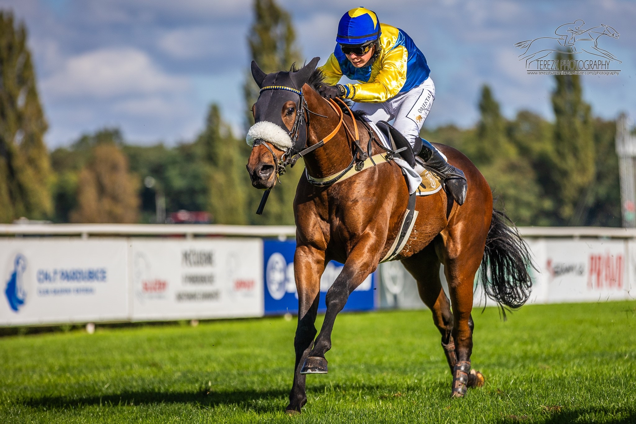 Tři vítězství, jednou třetí a páté místo pro naše barvy v Pardubicích a smolný konec ve Velké