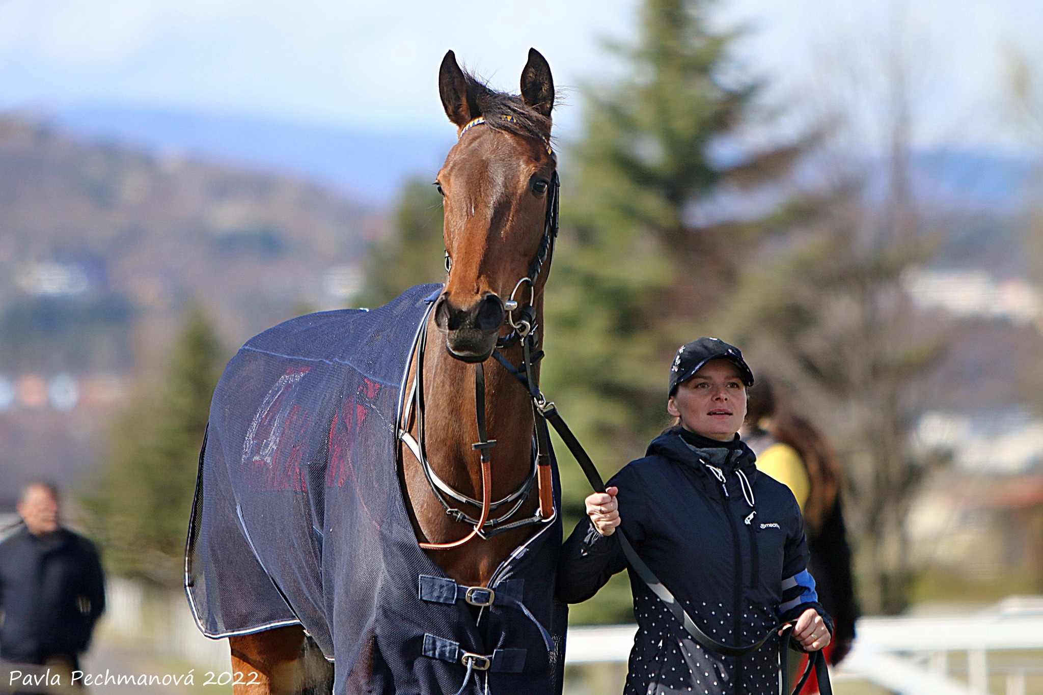 Dva zástupci modrožlutých na startu v italském Meranu