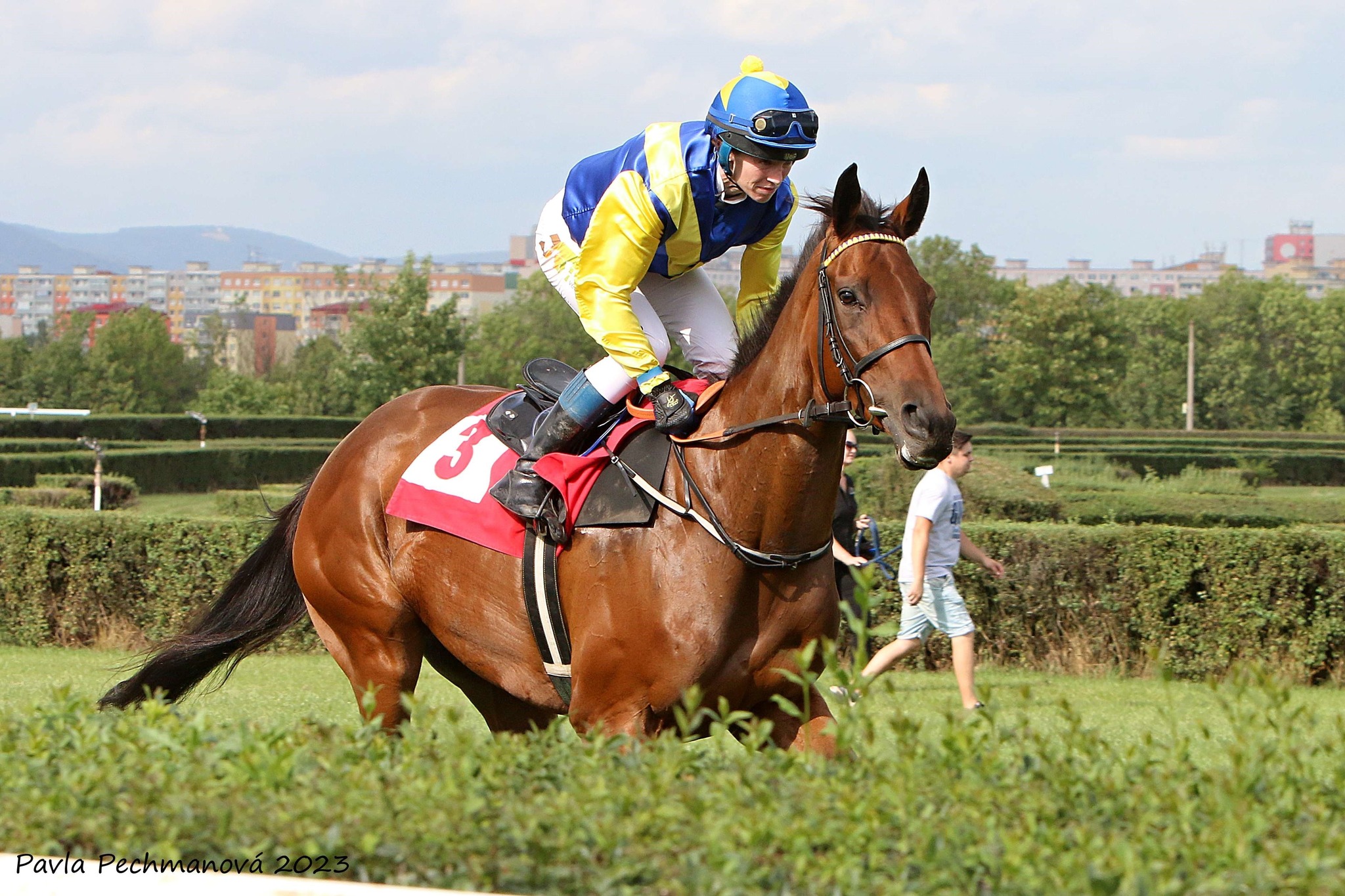 WHIRL WIND GIRL veze z Merana první místo!