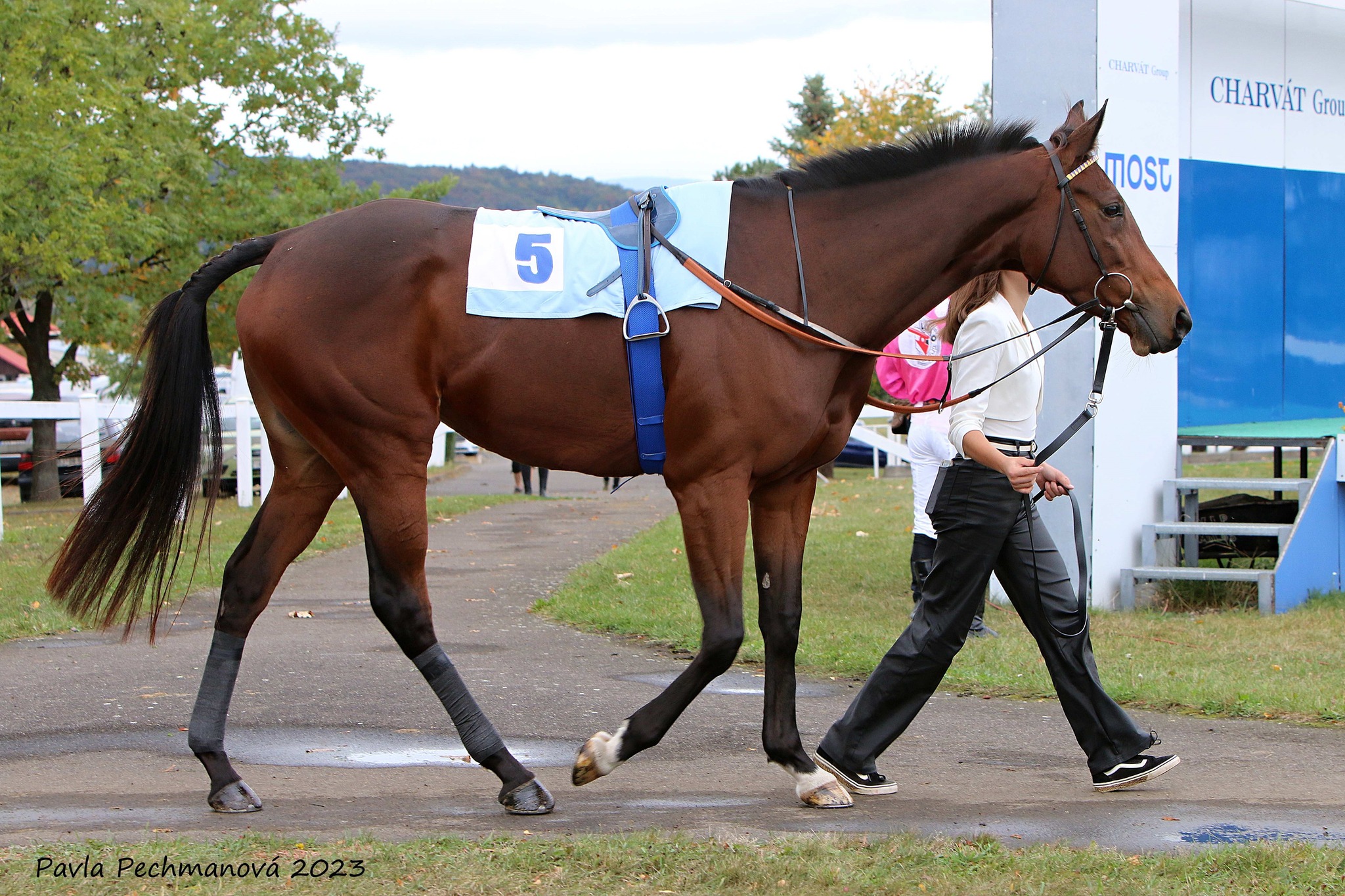 Smolná neděle 25. 1. 2026 v Pise